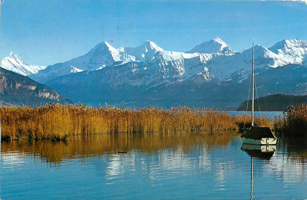 Jezioro Thoune — góry Schreckhorn, Eiger, Mönch i Jungfrau — Colorphoto H. Steinhauser, Interlaken - Awers