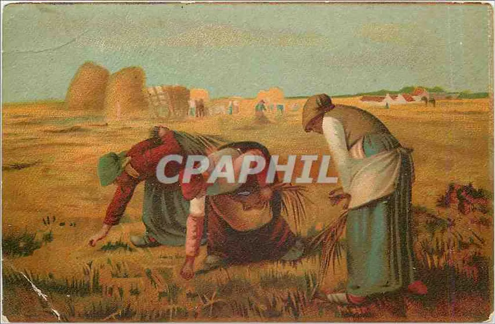 Cena de colheita — mulheres trabalhando — editor não visível - Frente