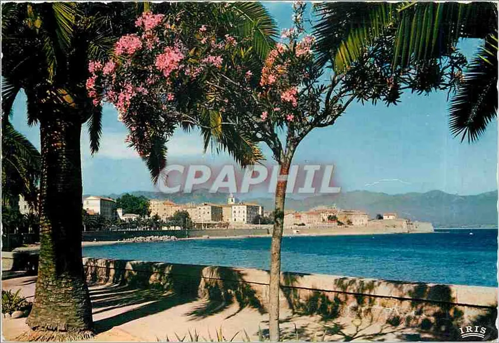 Ajaccio — Vista tomada del Boulevard Lantivy — Ediciones IRIS - Anverso