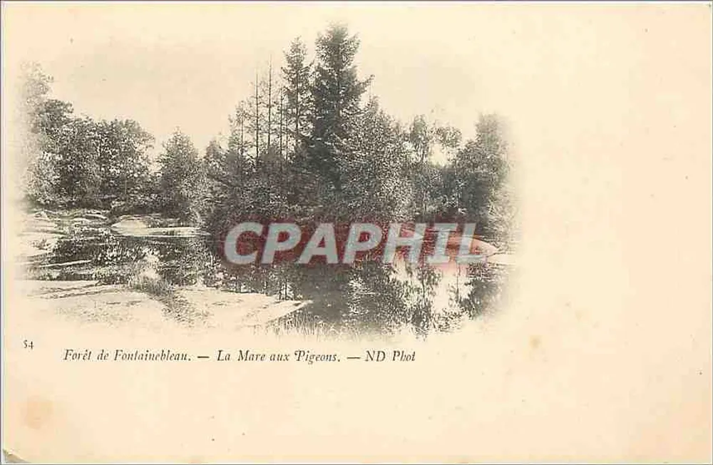 Forêt de Fontainebleau — La Mare aux Pigeons — ND Phot - Recto