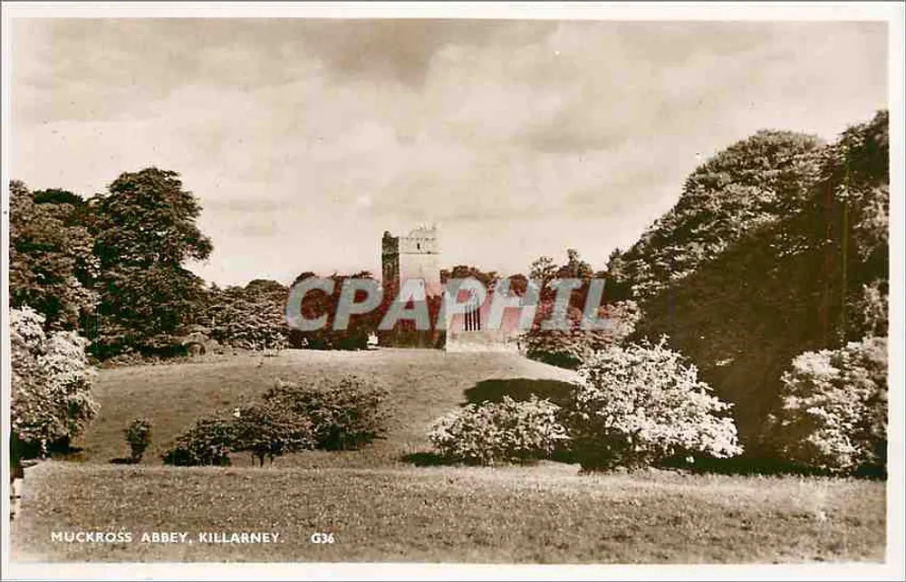 Abadia de Muckross, Killarney — vista do castelo em uma colina arborizada — G36 - Frente