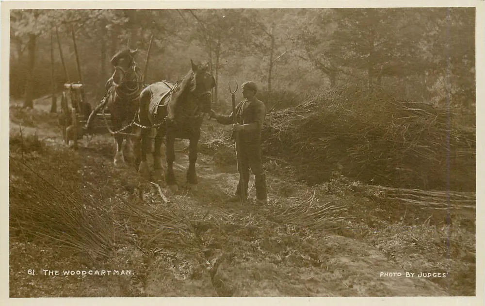 O bosque de carruagem — O carruageiro florestal — Foto por Judges' - Frente