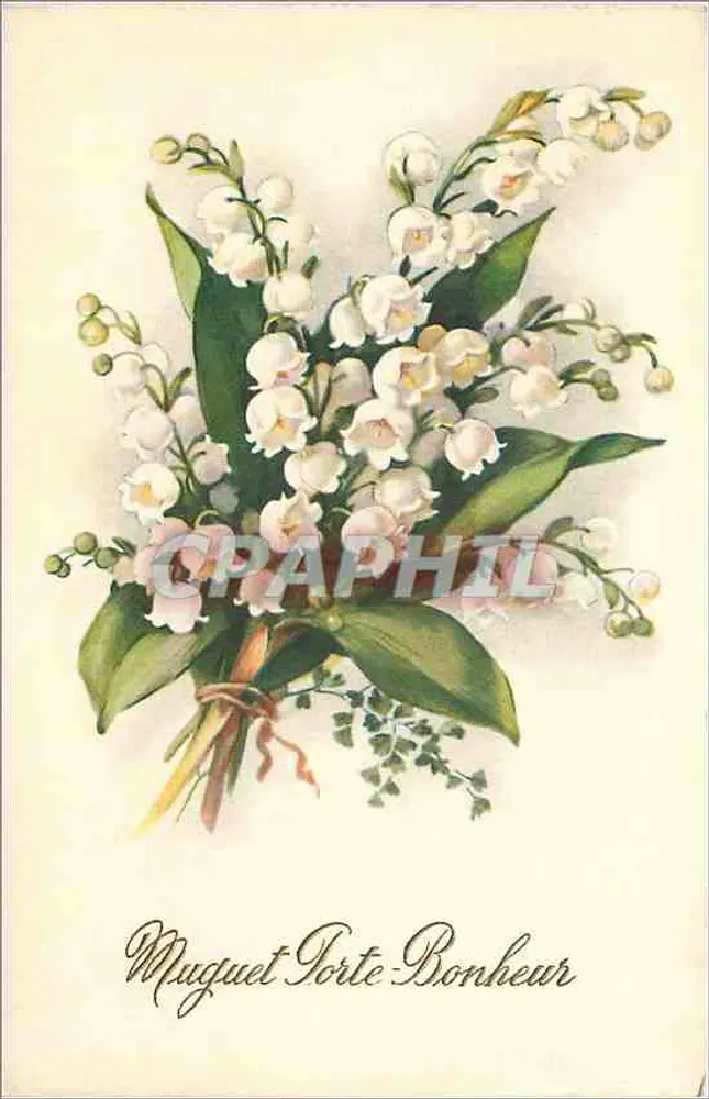 Arranjo de flores de muguet — texto impresso 'Muguet Porte Bonheur' — editor Brugmann & Cie, n° 1261 - Frente