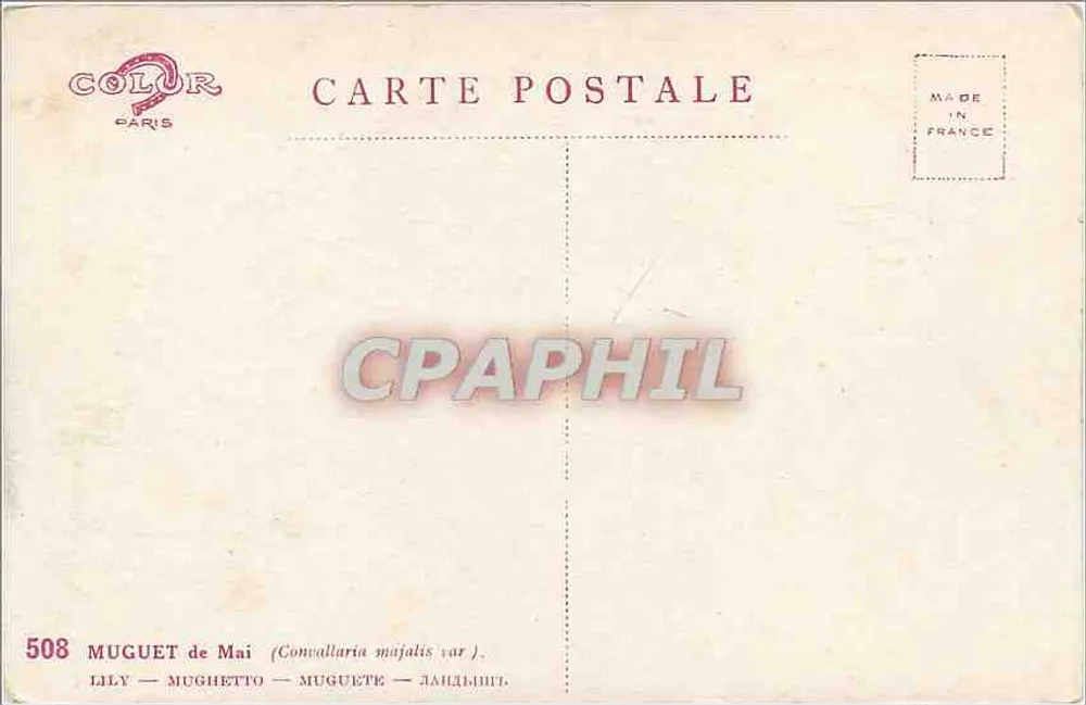 Muguet de Mai — Lily — Mughetto — Muguet — (Convallaria majalis var.) — COLOR PARIS n°508 - Verso