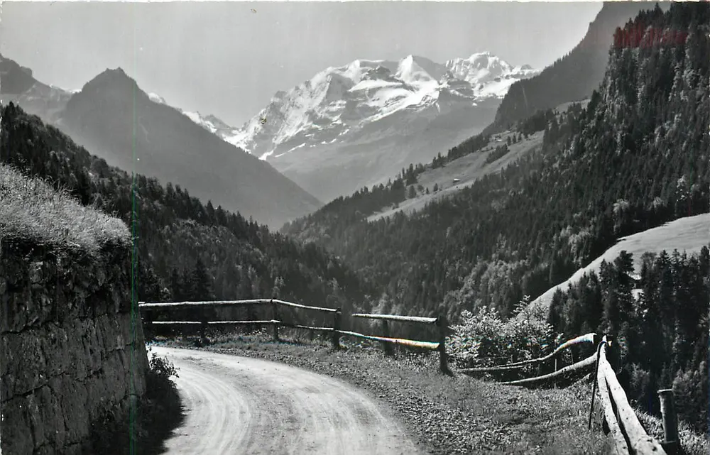 Reichenbach-Scharnachtal — Blümlisalp 3664 m — Photo-Verlag Syger, Adelboden - Voorkant