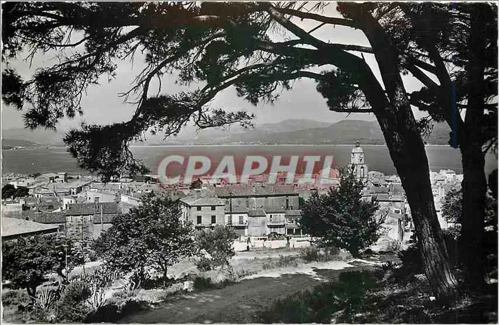 Saint-Tropez — Allgemeiner Blick auf die Stadt und den Golf — Éditions S.E.P.T. - Nice - Vorderseite
