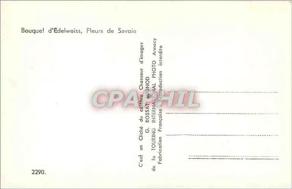 Bouquet de Edelweiss, Flores de Saboya — G. ROSSAT, Cazador de imágenes, Amécy - Reverso