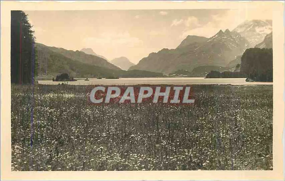 Sils in het Engadine — Zomerdag aan het Silsermeer — Photohaus E. Meerkämper, Sils i.E. Nr. 79 - Voorkant