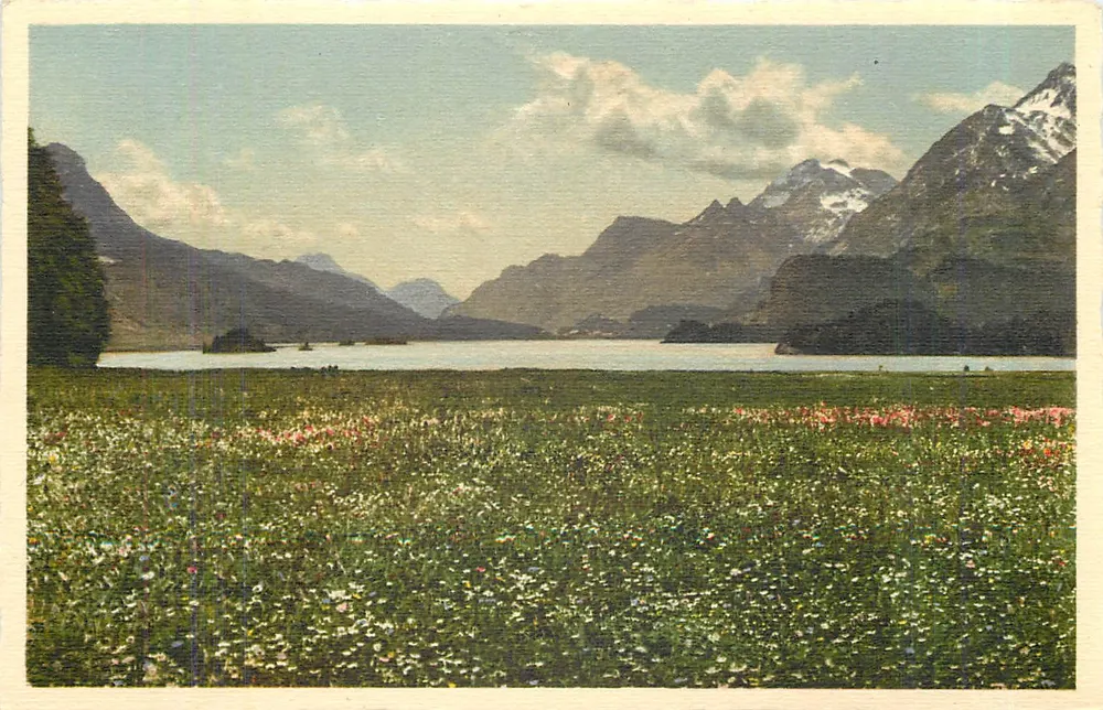 सिल्स इम एंगाडिन — समर अम सिल्सरसी — वर्ग: फोटोबाह्न सिल्सरकैम्पर, संख्या 11 - आगे