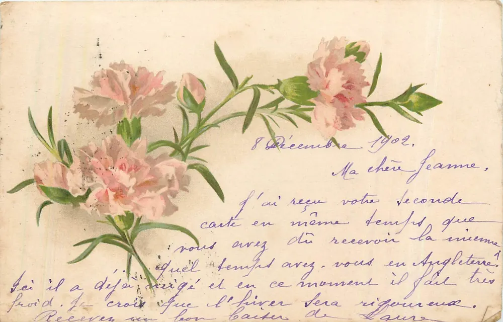 Fleurs de pâquerettes — carte postale — éditeur inconnu, n° de série non visible - Frente