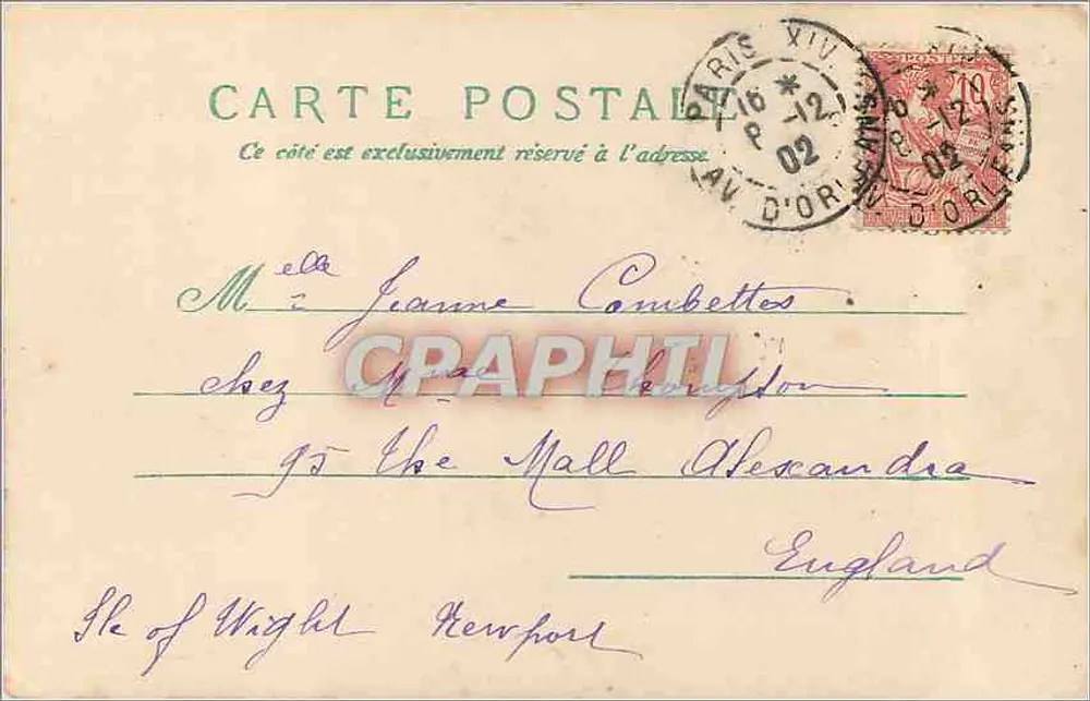 Fleurs de pâquerettes — carte postale — éditeur inconnu, n° de série non visible - Verso