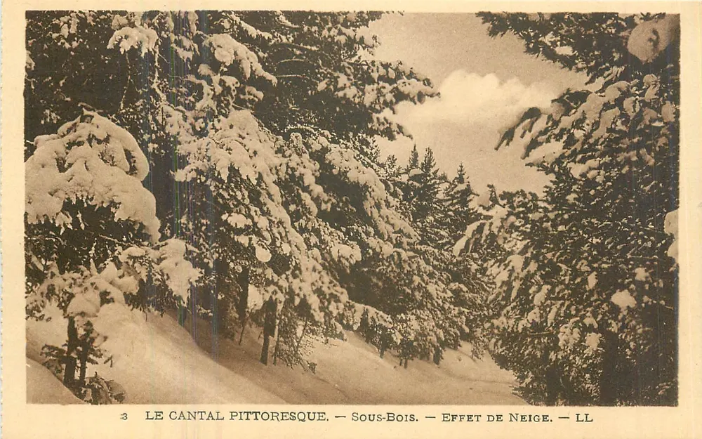 Le Cantal pittoresque — Sous-Bois — Effet de Neige — LL - Recto