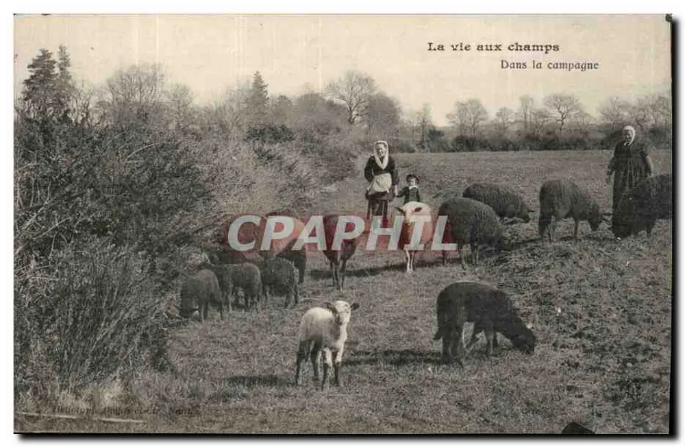 A vida nos campos — Na campina — Editora: Héloïse, Amiens (ou La Somme) - Frente