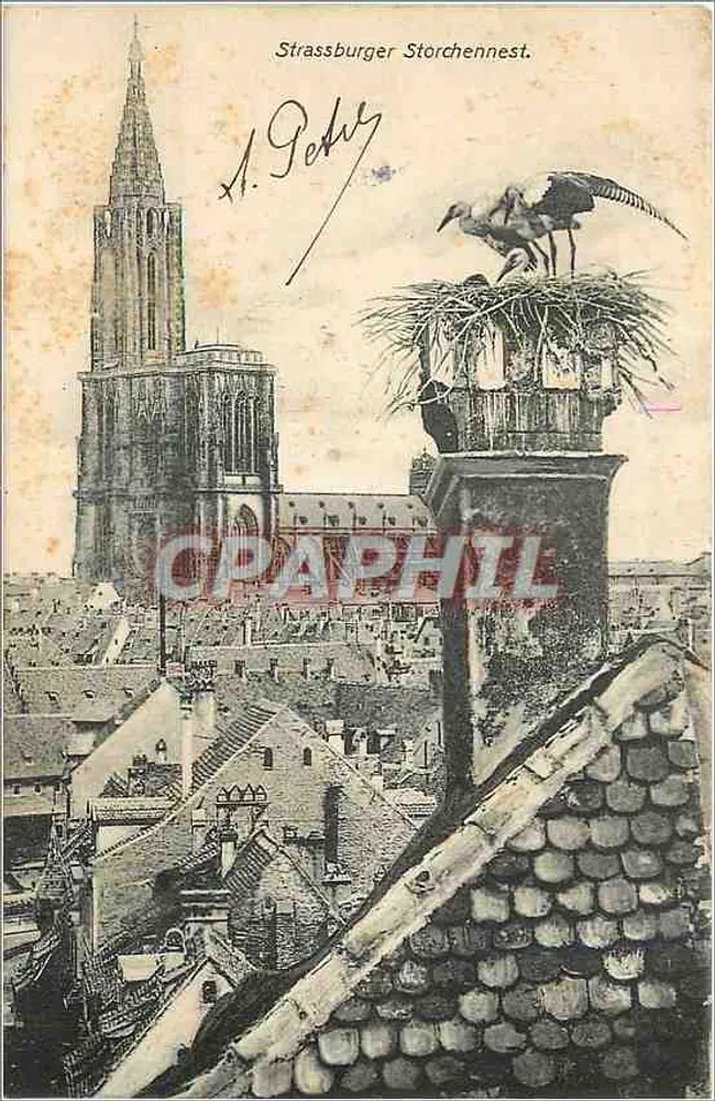 Strasbourg - Storchennest — H. Petry, editor VI 40827 - Frente