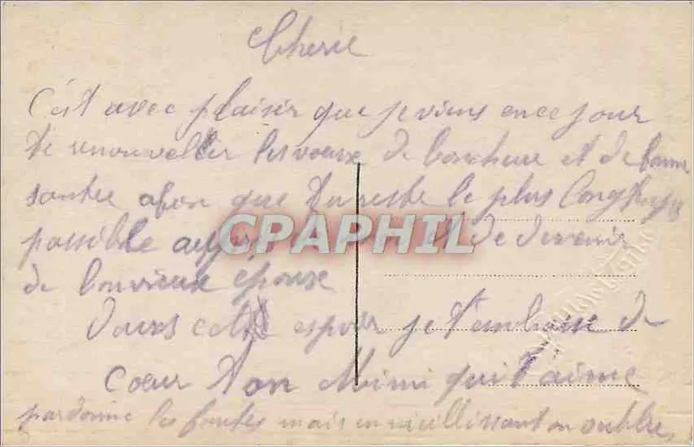 Arranjo de flores — Mistura de margaridas e margaridas — editor Myrha, n°118 - Verso