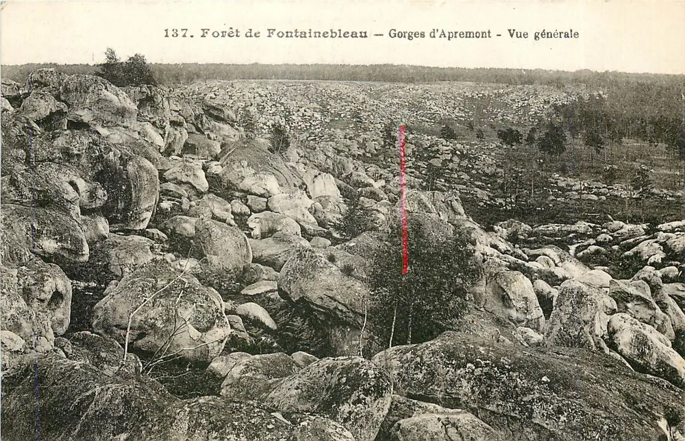 Floresta de Fontainebleau — Gorges d'Apremont — Vista geral — n° 137 - Frente