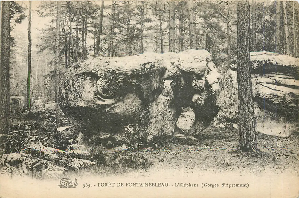 Floresta de Fontainebleau - O Elefante (Gorges d'Apremont) — n° 389 - Frente