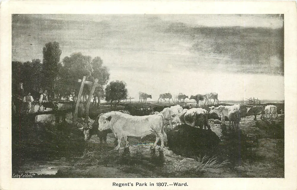 Regent's Park in 1807 — Ward — Lelet Falden & Co. - Voorkant