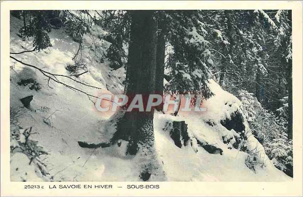 La Savoie en hiver — Sous-bois — Collection La Savoie, Braun & Cie, Imp.-Edit. Dornach - Recto