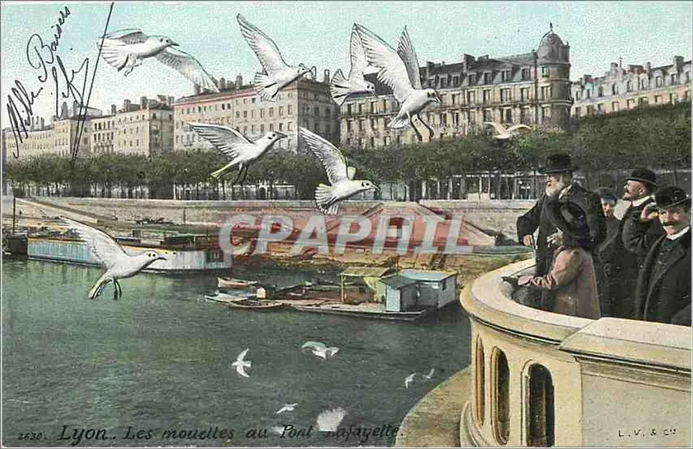 Lyon. Las gaviotas en el Puente Lafayette — L.V. & Cie, n° 2630 - Anverso