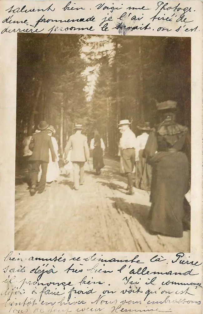 Promenade en forêt — Bern, Suisse — carte postale datée 26 septembre 1908 - Recto