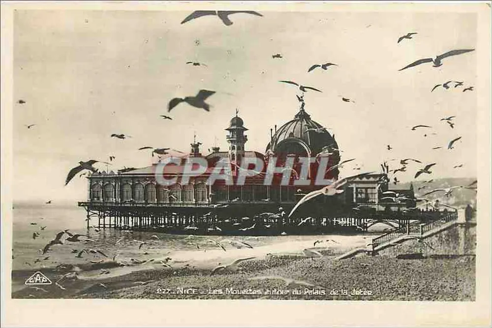 As Garças ao Redor do Palácio da Jetée — NICE — Editor CAP, n° 827 - Frente
