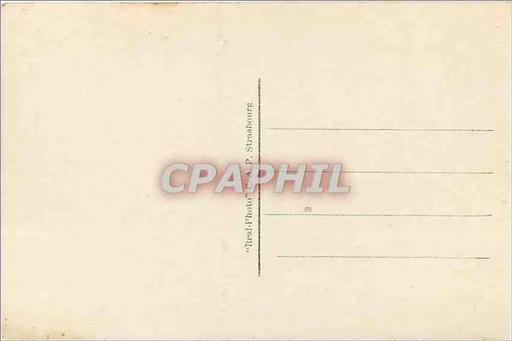 As Garças ao Redor do Palácio da Jetée — NICE — Editor CAP, n° 827 - Verso