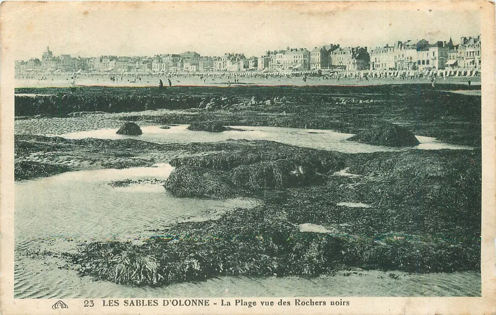 Les Sables d'Olonne — La Plage vue des Rochers noirs — Edit. Mercault, n°23 - Recto