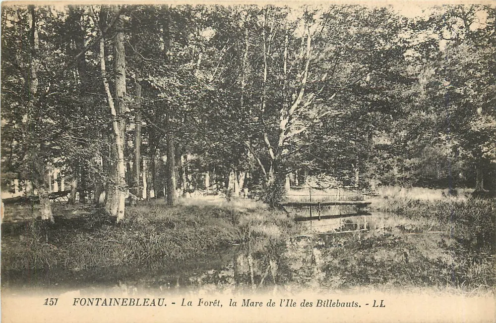 Fontainebleau - La Forêt, la Mare de l'Île des Billebauts - LL - Recto