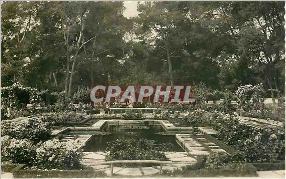 Ogród Rosaleda w Madrycie — Wydawca: Tarijeta Postal — N° 47 - Awers