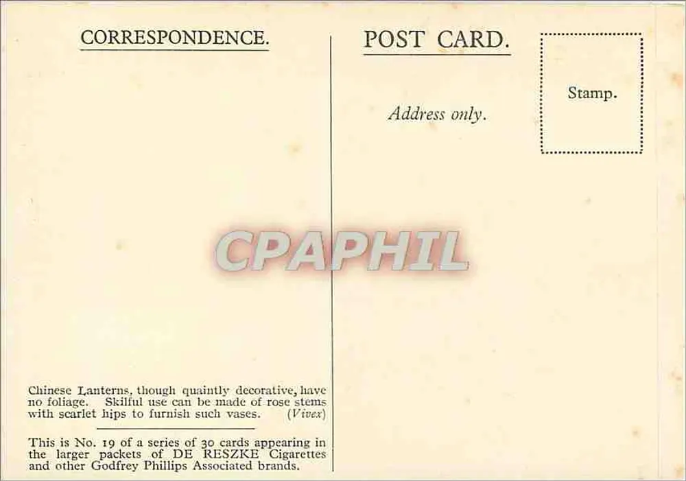 Arranjo de lanternas chinesas — detalhes florais — série de 30 cartas publicitárias para DE RESZKE Cigarettes - Verso