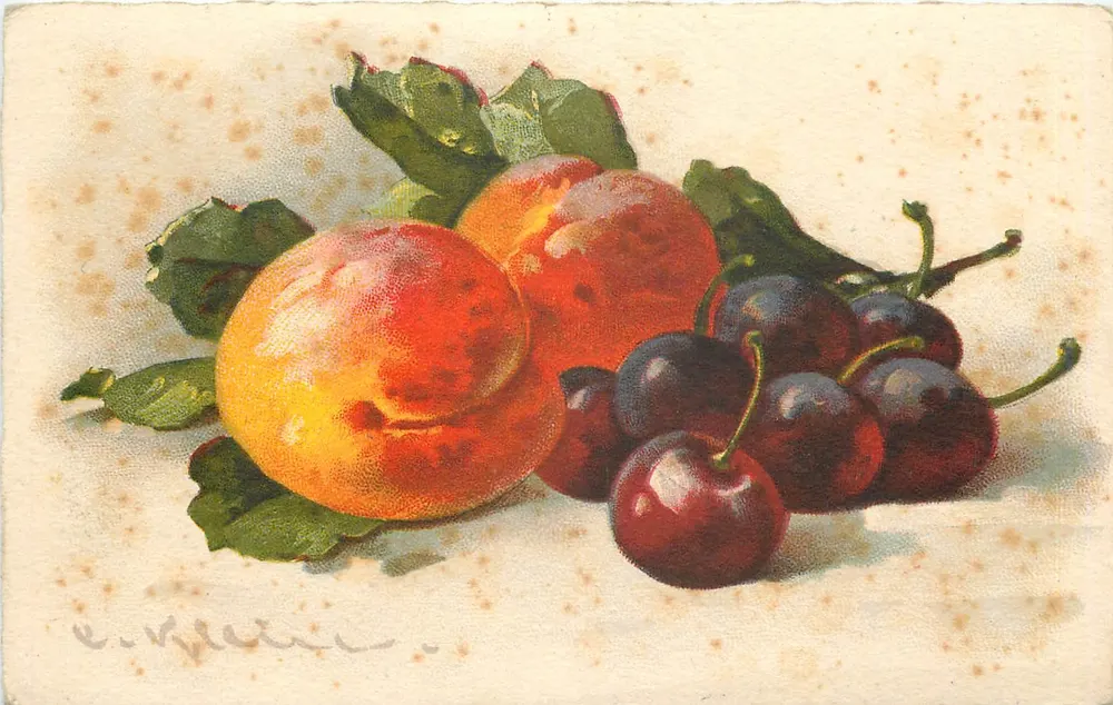 Frutas — ameixas e cerejas — editor POUYTOR, n°236 - Frente
