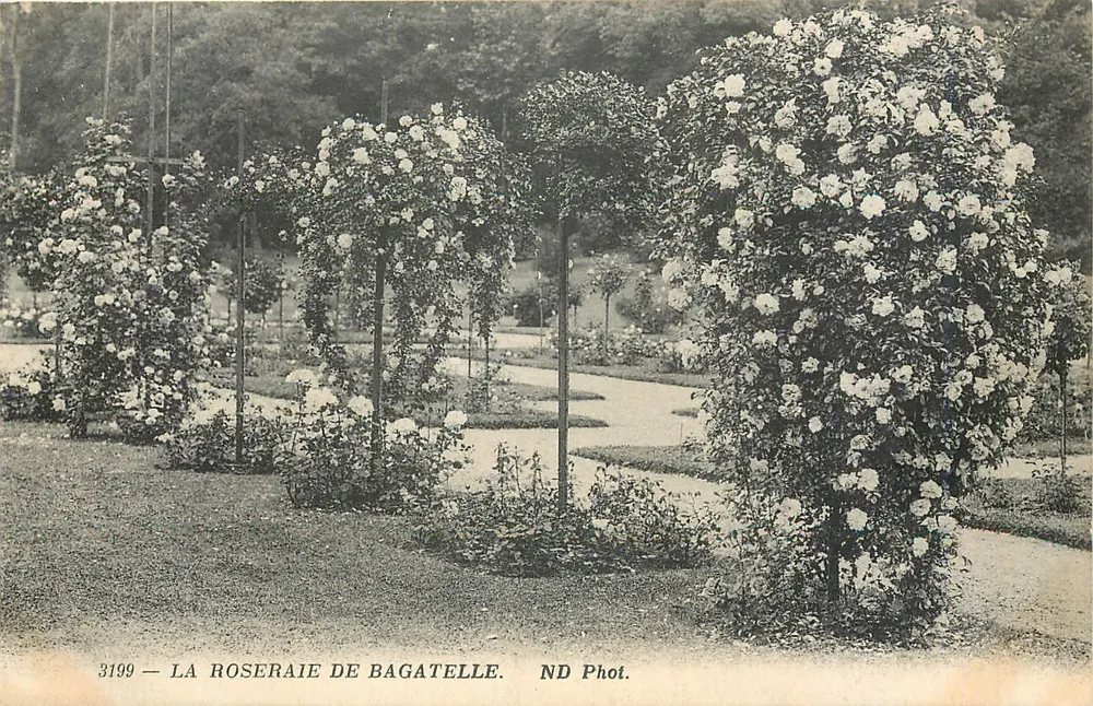 La Roseraie de Bagatelle — Paris — ND Phot. n° 3199 - Frente