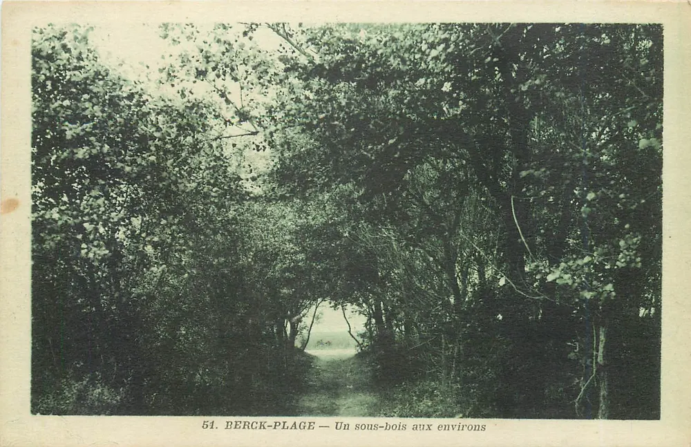 Berck-Plage — Uma floresta sombreada nas proximidades — La Maison Universelle, 73 Rue Carnot, Berck-Plage - Frente