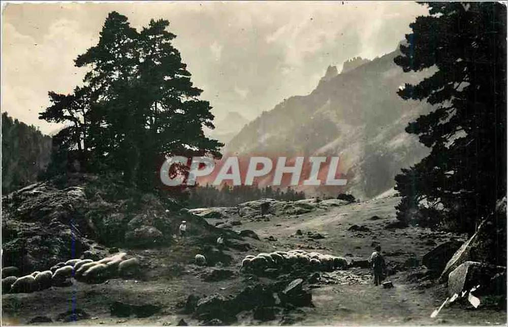 Environs de CAUTERETS (H.P.) — Départ pour le Marcadau — Edit. JOVÈ, Pau — n° 93 - Recto