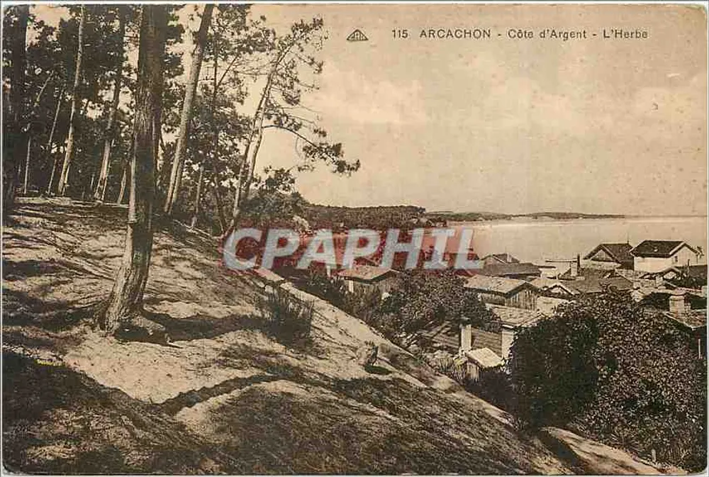 Arcachon - Côte d'Argent - L'Herba — Arcachon, Côte d'Argent, L'Herba — editor Arcachon, n° 115 - Frente