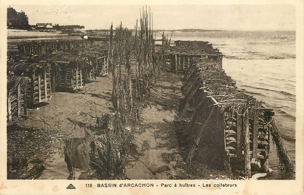 Bassin d'Arcachon - Oyster Park - Die Sammler — Antike Ansichtskarte n°118, Verlag A.P.C. - Vorderseite