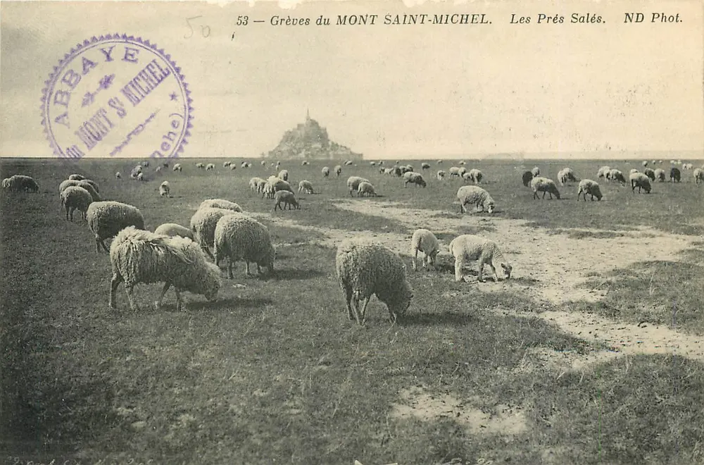 Strände des MONT SAINT-MICHEL — Les Prés Salés — ND Phot. - Vorderseite