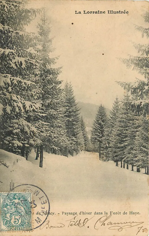 Paisagem de inverno na Floresta de Haye — La Lorraine Illustrée - Frente