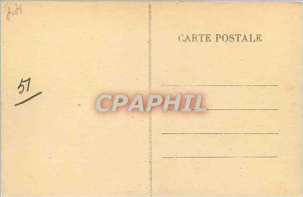 LA BAULE-LES-PINS. — Sous-bois - Verso