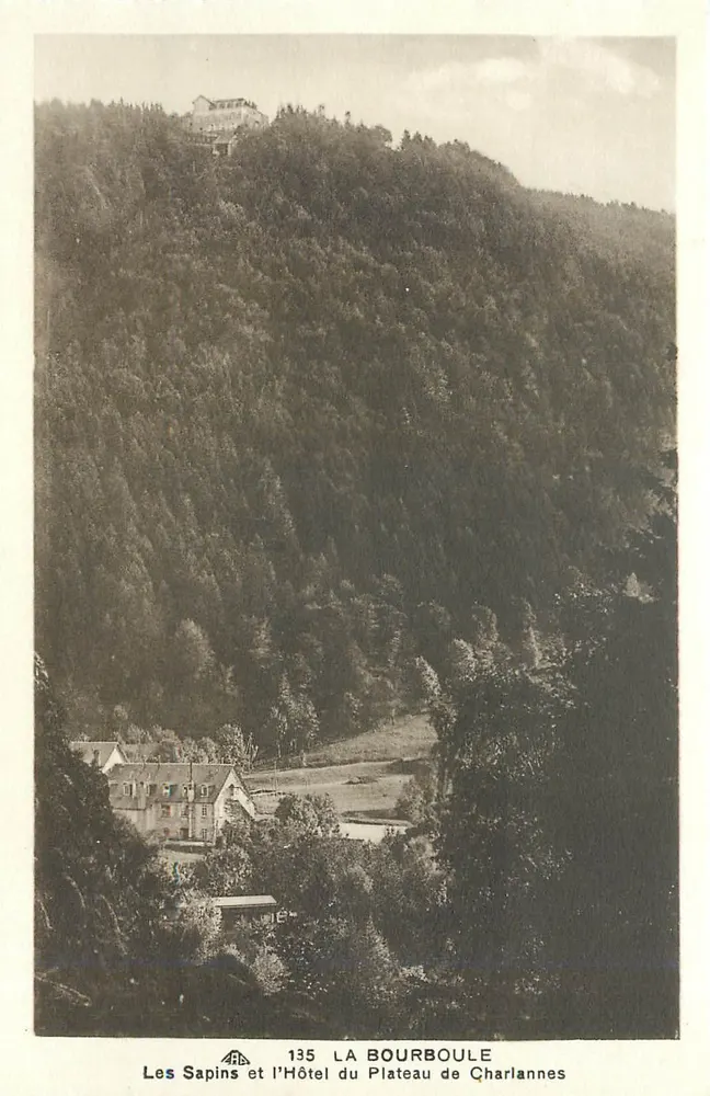 Die Tannen und das Hotel du Plateau de Charlanne — La Bourboule — 135 - Vorderseite