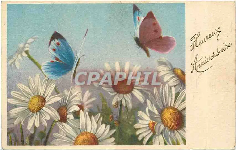 Campo de margaridas e borboletas — Carta postal de aniversário — Editor: 4143 - Frente