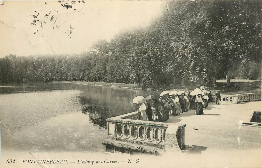 Fontainebleau — L'Étang des Carpes — N G, n° 392 - Frente