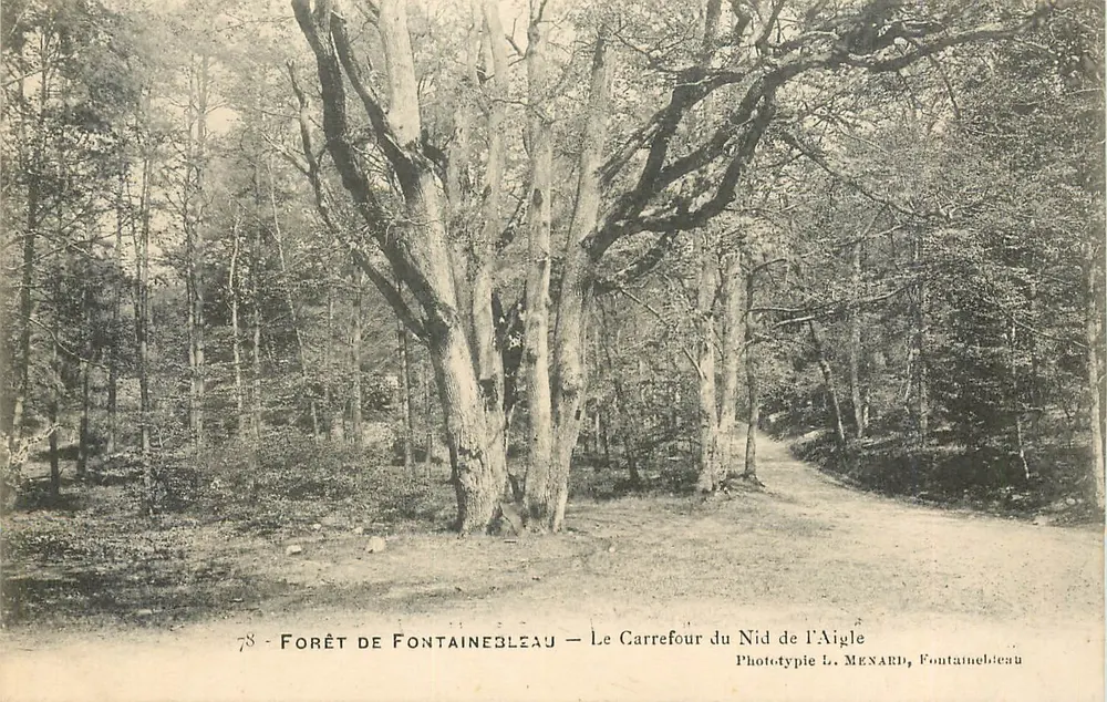 Forêt de Fontainebleau — Le Carrefour du Nid de l'Aigle — Phototyp L. MENARD, Fontainebleau - Vorderseite