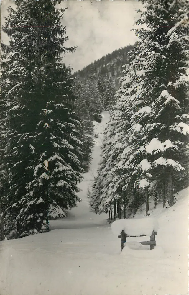 Lajoux — Wald unter Schnee — Les Éditions de la B.L. Lagnieu - Vorderseite