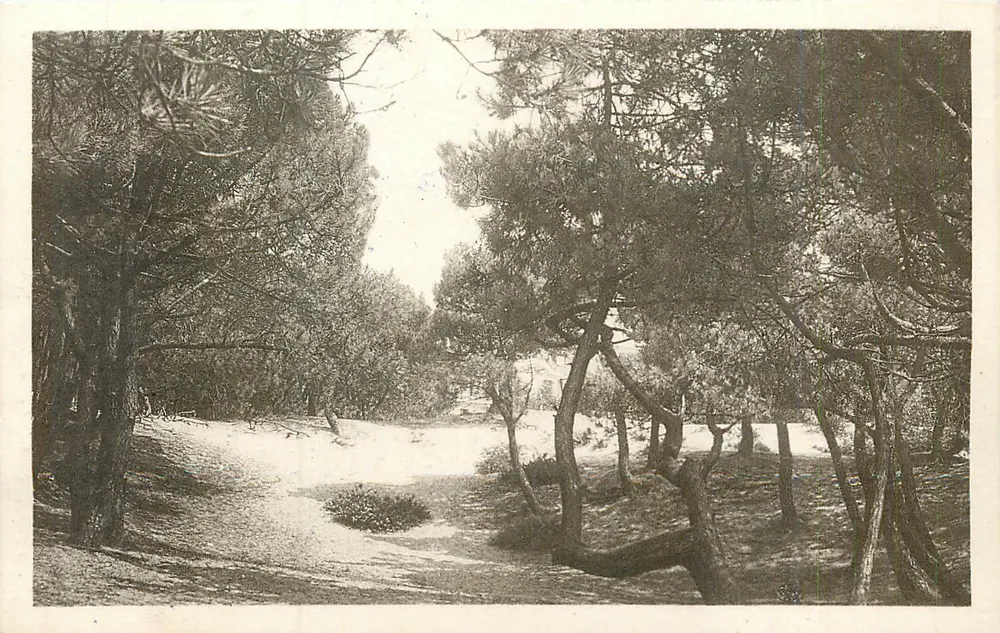Die Pineta und der Leuchtturm — LE TOUQUET-PARIS-PLAGE — Verlag: Paris-Plage - Vorderseite