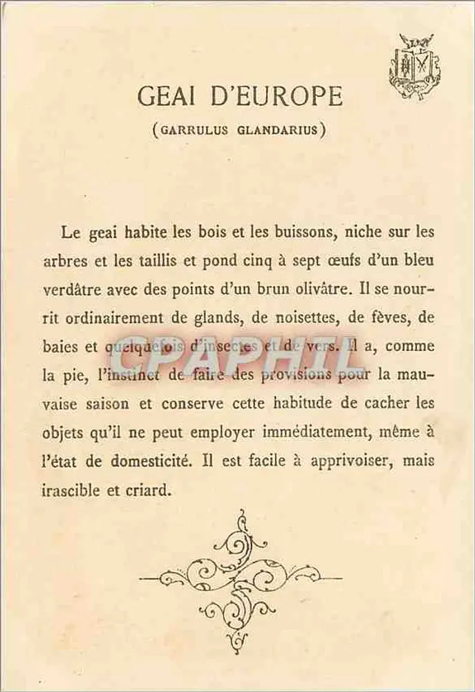 Pássaro-papagaio da Europa — (Garrulus glandarius) — Grantly Leaue - Verso