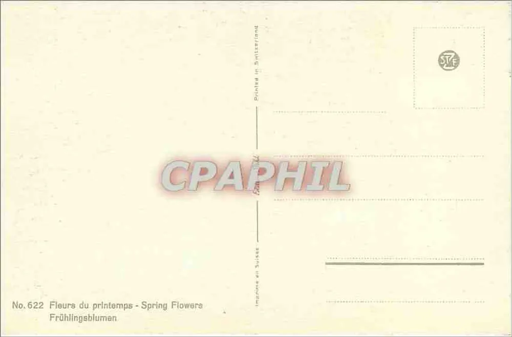 Arranjo de flores de primavera — com galhos de salgueiro — editor STF, n°622 - Verso