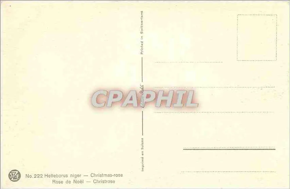 Helleborus niger — Christmas Rose — Printed in Switzerland - Back