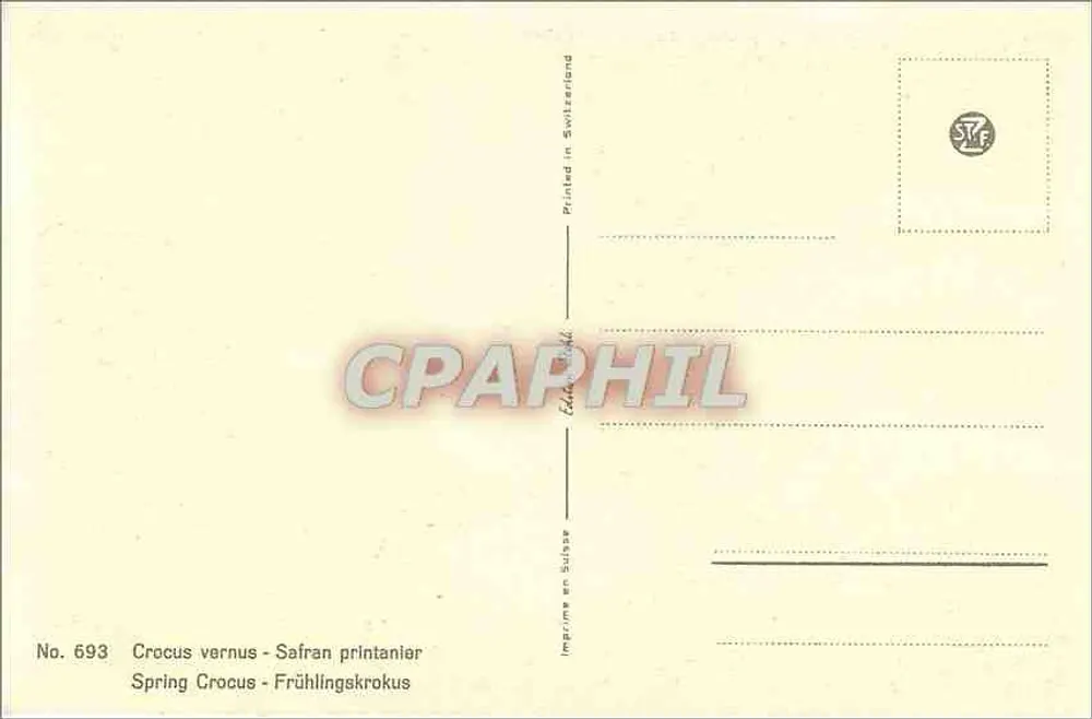 क्रोकस वर्नस — वसंत के फूल — स्विटजरलैंड में मुद्रित, संख्या 693 - पीछे